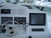 sportfish1.JPG
