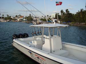 Contender T33