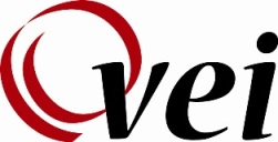 VEI Logo
